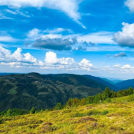 Pensiunea Agro-turistica Maris Prázdninový dům Maguri-Racatau