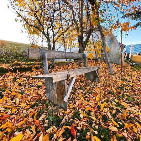 Prázdninový dům Pensiunea Agro-turistica Maris