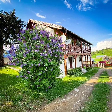 Pensiunea Agro-turistica Maris *